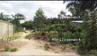 PARCELLE A VENDRE